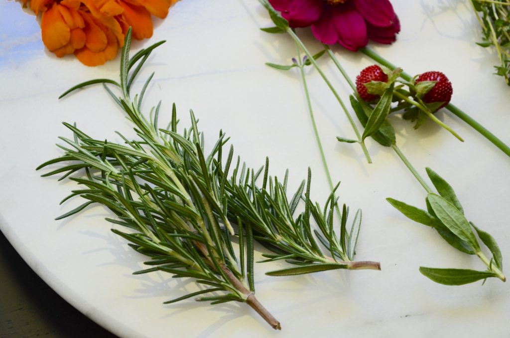 Rosemary for Cheese Plate