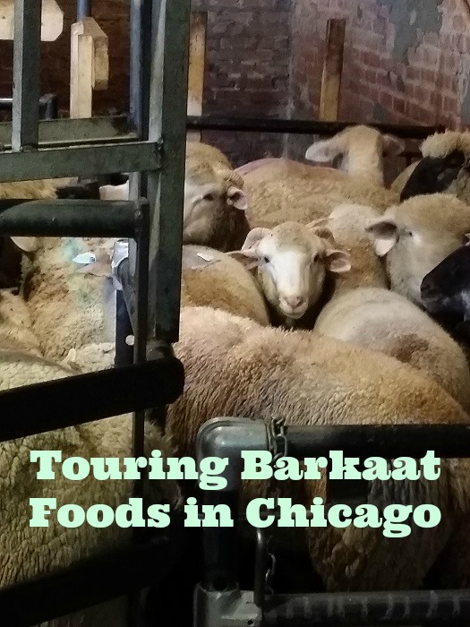 Touring Barkaat Foods in Chicago