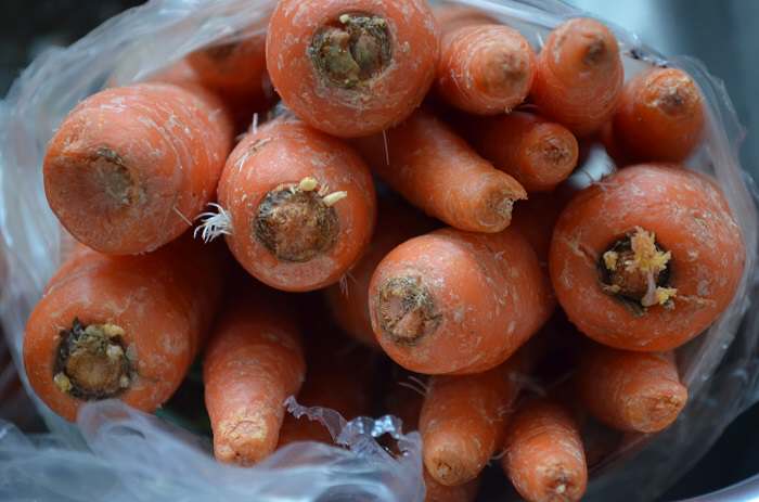 carrots in bag