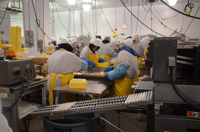 workers on production line