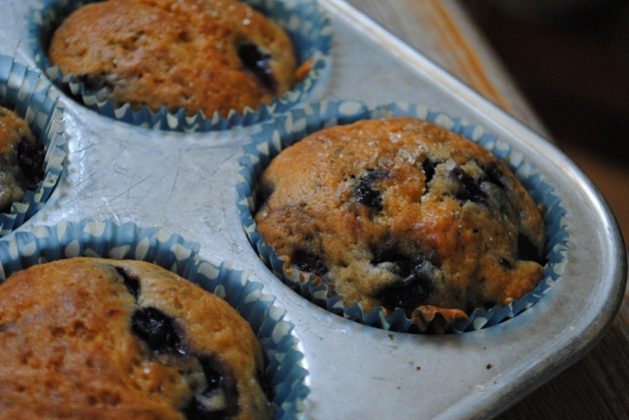 Blueberry Muffins - Yvonne Maffei - Making Global Cuisine Halal